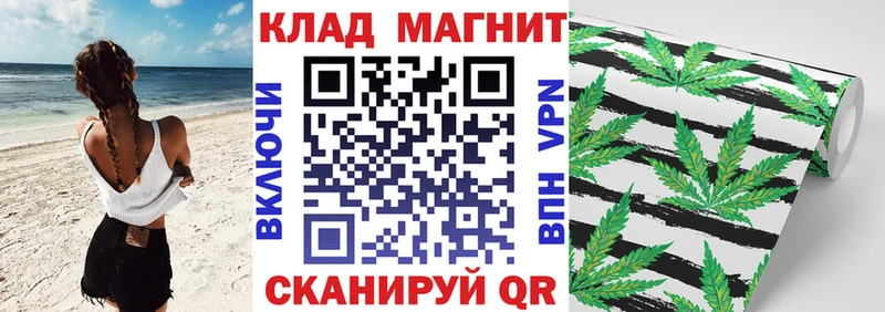 Магазины продажи наркотиков Шахты Псилоцибиновые грибы  COCAIN  Меф  ГАШИШ 