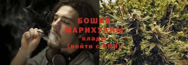гашик Апатиты