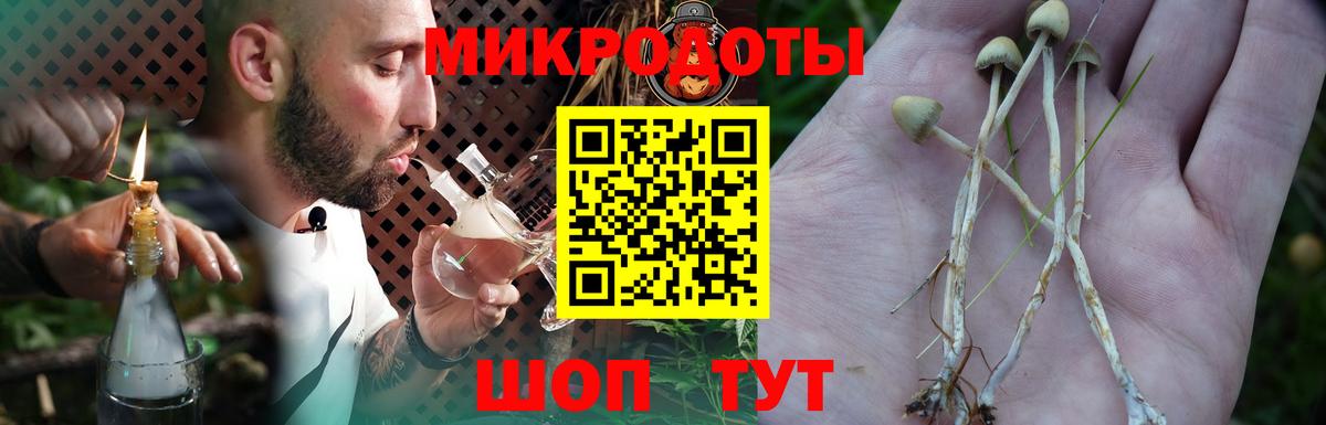 Псилоцибиновые грибы Psilocybe  Галлюциногенные грибы GOLDEN TEACHER  Вход с VPN  Шахты 